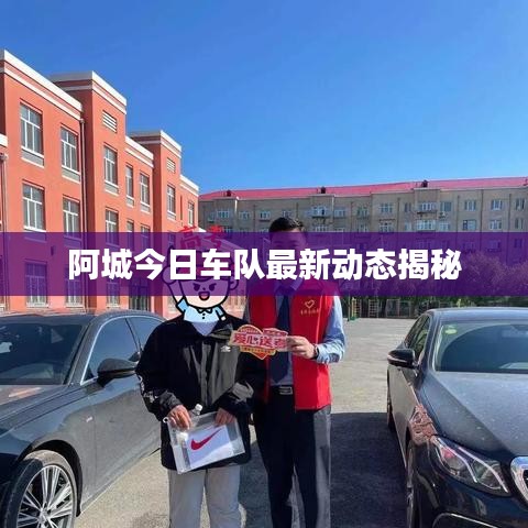 阿城今日车队最新动态揭秘