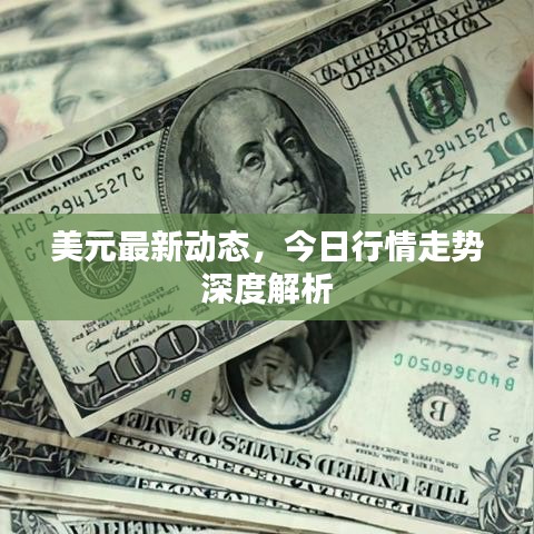 美元最新动态，今日行情走势深度解析