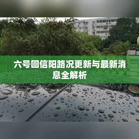 六号回信阳路况更新与最新消息全解析