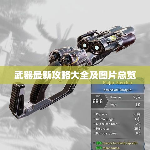 武器最新攻略大全及图片总览