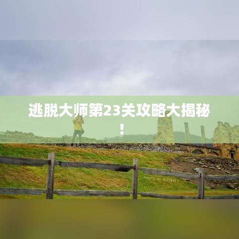 逃脱大师第23关攻略大揭秘！
