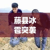 藤县冰雹突袭，最新消息与现场情况！