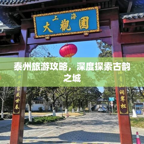泰州旅游攻略，深度探索古韵之城
