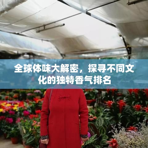 全球体味大解密，探寻不同文化的独特香气排名