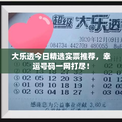 大乐透今日精选实票推荐，幸运号码一网打尽！
