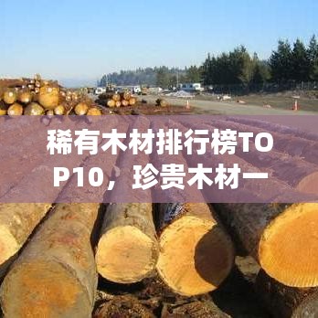 稀有木材排行榜TOP10，珍贵木材一览无余