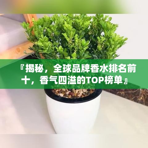 『揭秘，全球品牌香水排名前十，香气四溢的TOP榜单』