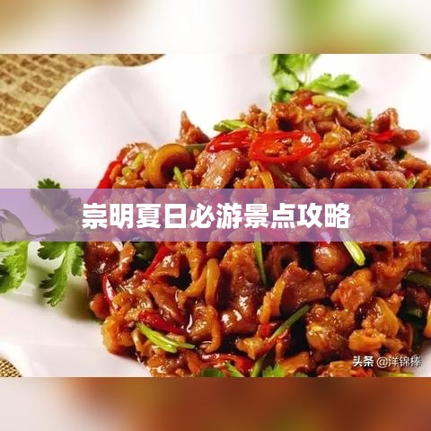 崇明夏日必游景点攻略