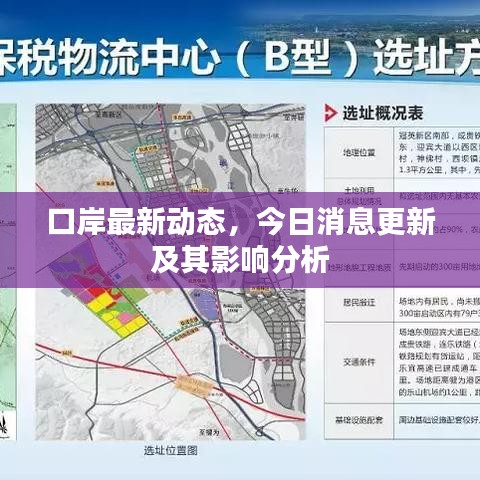 口岸最新动态，今日消息更新及其影响分析