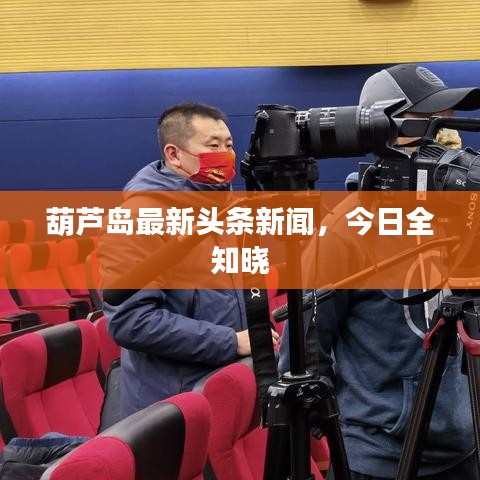 葫芦岛最新头条新闻，今日全知晓