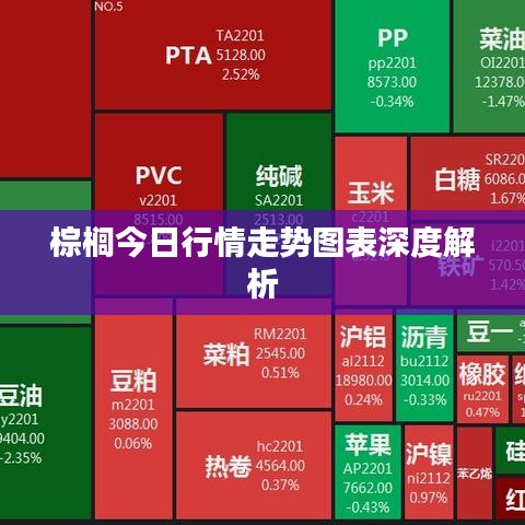 棕榈今日行情走势图表深度解析