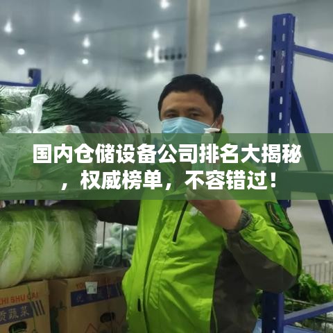 国内仓储设备公司排名大揭秘，权威榜单，不容错过！