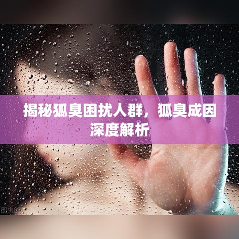 择善而从 第2页