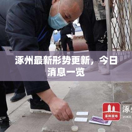 涿州最新形势更新，今日消息一览