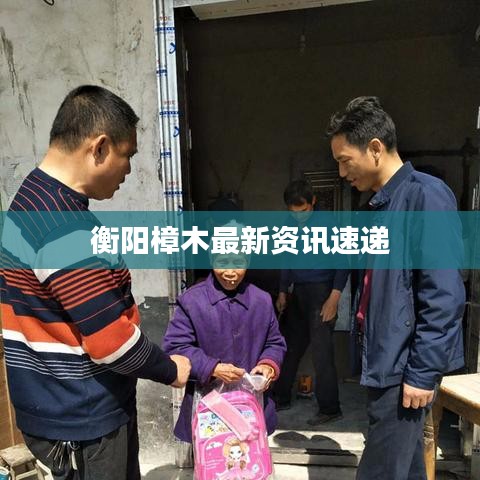 衡阳樟木最新资讯速递