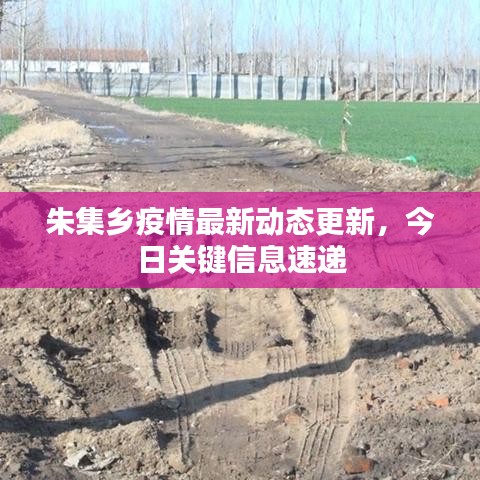 朱集乡疫情最新动态更新，今日关键信息速递