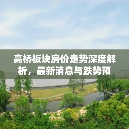 高桥板块房价走势深度解析，最新消息与跌势预测