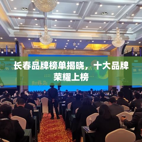 长春品牌榜单揭晓，十大品牌荣耀上榜