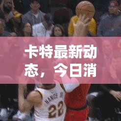 卡特最新动态，今日消息速递