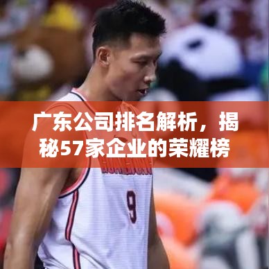 广东公司排名解析，揭秘57家企业的荣耀榜单