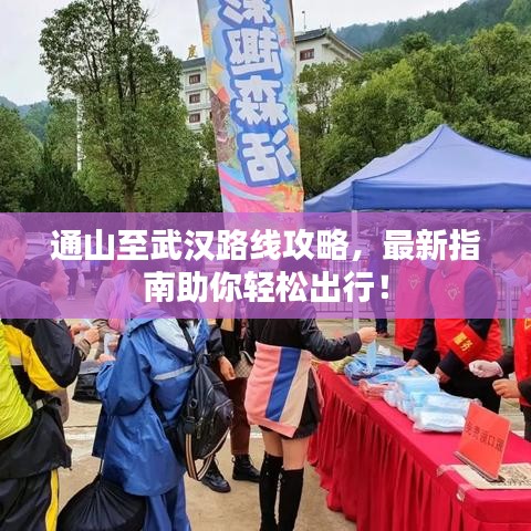 通山至武汉路线攻略，最新指南助你轻松出行！
