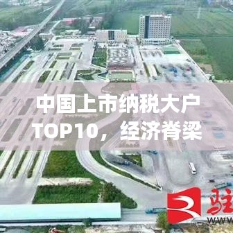 中国上市纳税大户TOP10，经济脊梁引领发展之路