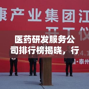 医药研发服务公司排行榜揭晓，行业影响力与排名深度解析