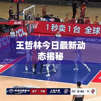 王哲林今日最新动态揭秘