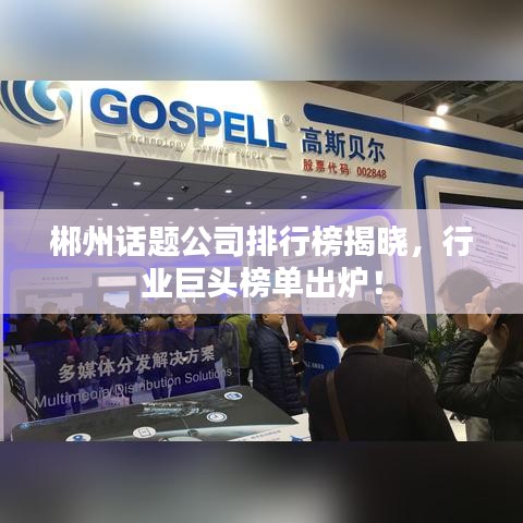 郴州话题公司排行榜揭晓，行业巨头榜单出炉！