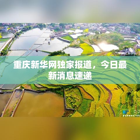 重庆新华网独家报道，今日最新消息速递
