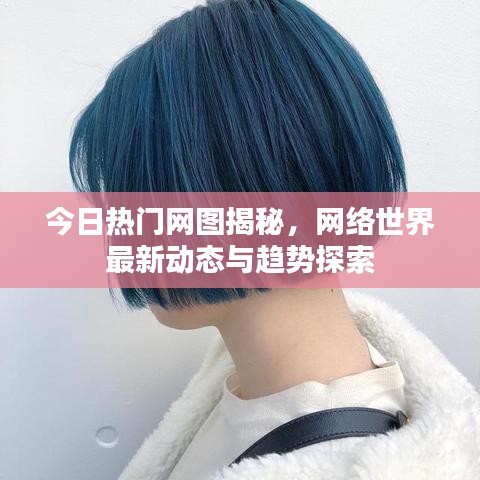 今日热门网图揭秘，网络世界最新动态与趋势探索