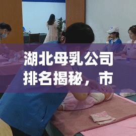 湖北母乳公司排名揭秘，市场分析与趋势展望