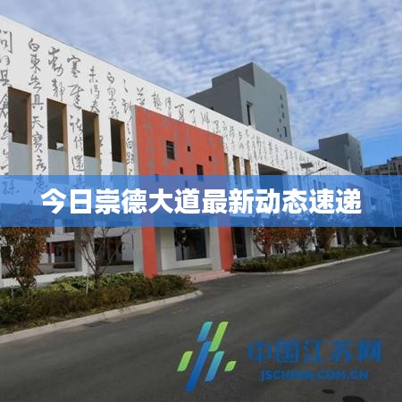 今日崇德大道最新动态速递