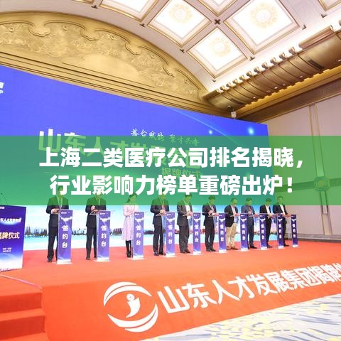 上海二类医疗公司排名揭晓，行业影响力榜单重磅出炉！