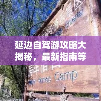 延边自驾游攻略大揭秘，最新指南等你来探秘！