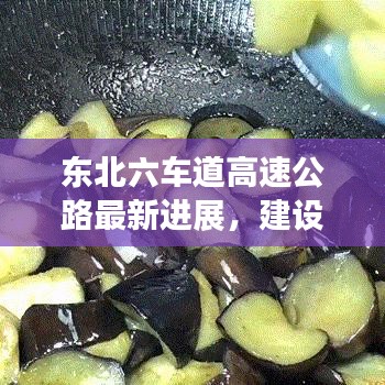 东北六车道高速公路最新进展，建设动态与规划揭秘