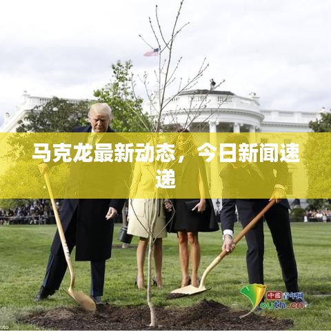 马克龙最新动态，今日新闻速递