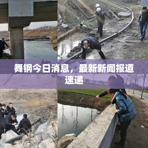 舞钢今日消息，最新新闻报道速递