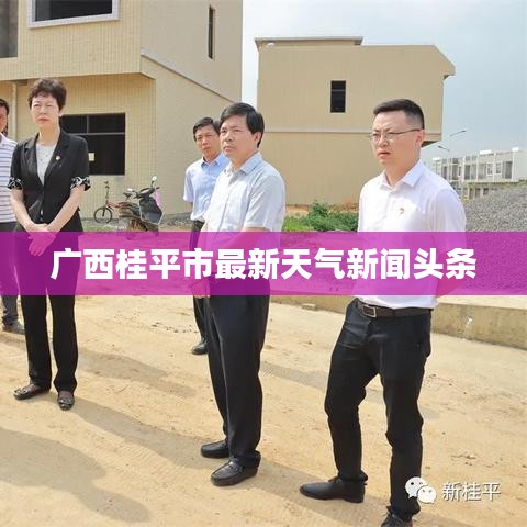 广西桂平市最新天气新闻头条