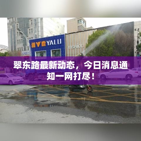 翠东路最新动态，今日消息通知一网打尽！