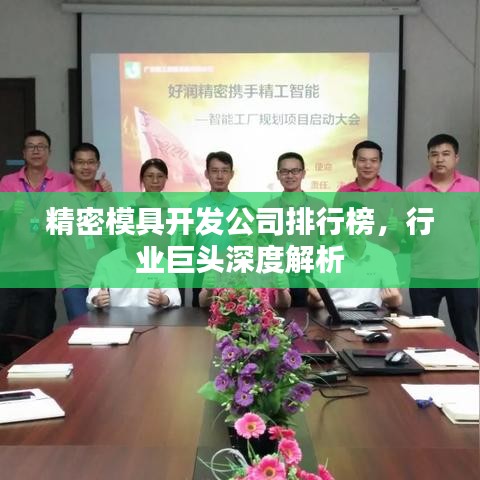 精密模具开发公司排行榜，行业巨头深度解析