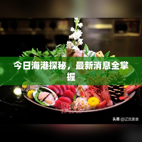今日海港探秘，最新消息全掌握