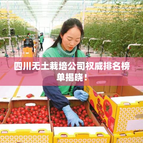 如翚斯飞 第2页