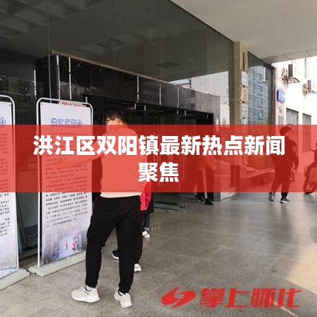 洪江区双阳镇最新热点新闻聚焦
