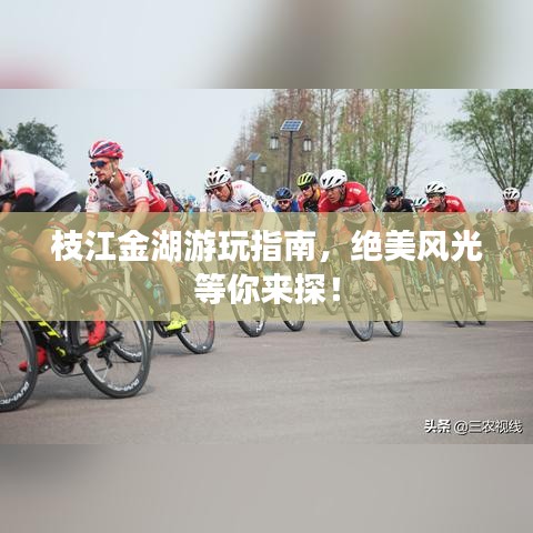 枝江金湖游玩指南，绝美风光等你来探！