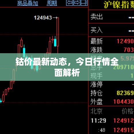 钴价最新动态，今日行情全面解析