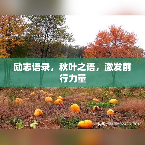 励志语录，秋叶之语，激发前行力量