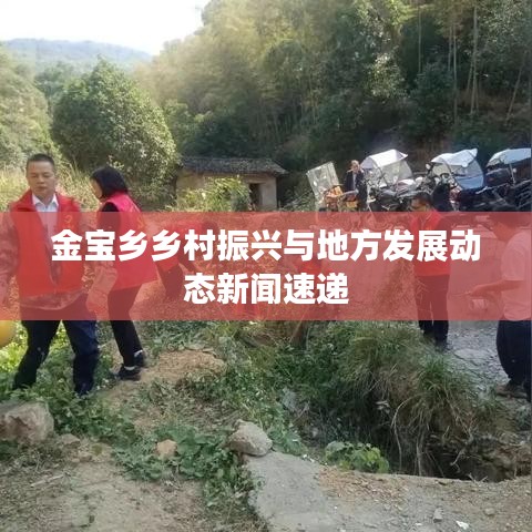 金宝乡乡村振兴与地方发展动态新闻速递
