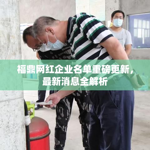福鼎网红企业名单重磅更新，最新消息全解析