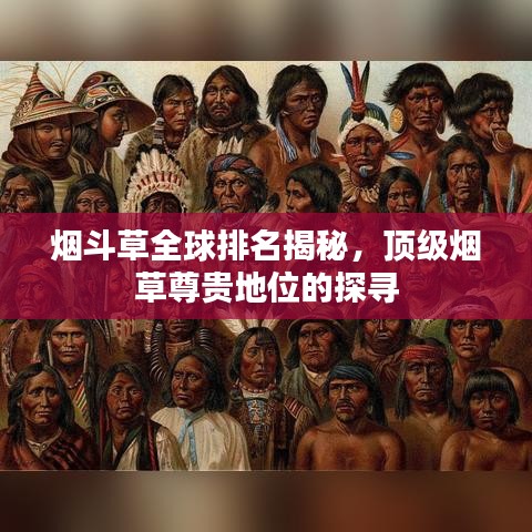 烟斗草全球排名揭秘，顶级烟草尊贵地位的探寻